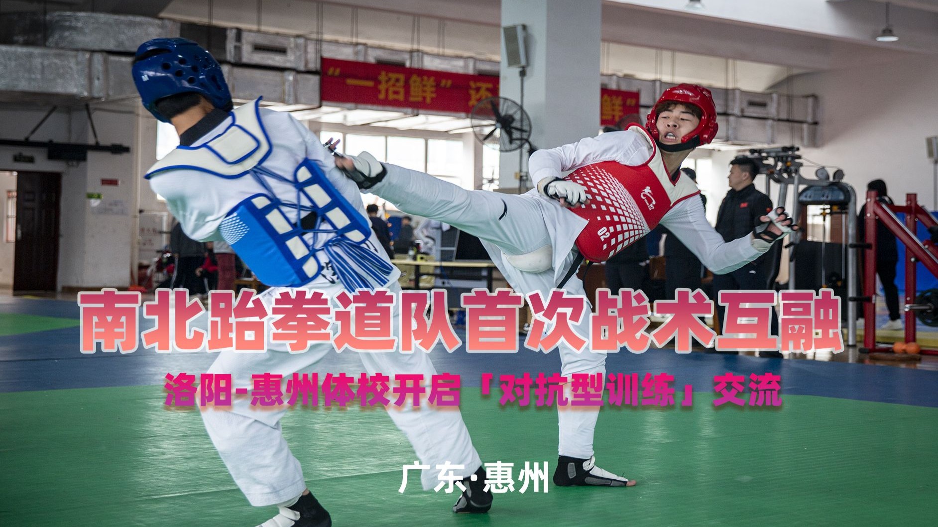 跆拳道大奖赛，塞外玄武队与滇池闪电队强势横扫，VAR改判成焦点！更衣室氛围正向的简单介绍