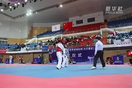 跆拳道大师赛掀起高潮，塞外雷豹队强势反弹塞外雄狮队，高压逼抢奏功——经验成为胜负手(充分展现跆拳道速度与刚猛之魅力)